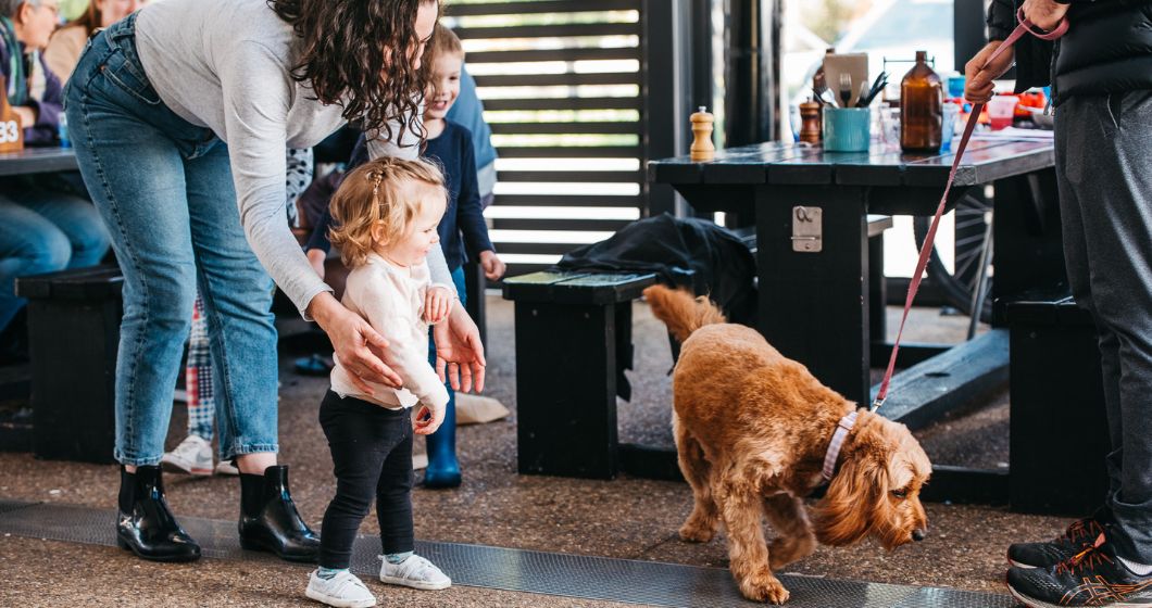 Dog friendly cafes in Canberra