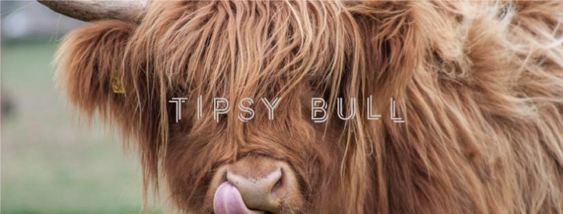 tipsy bull