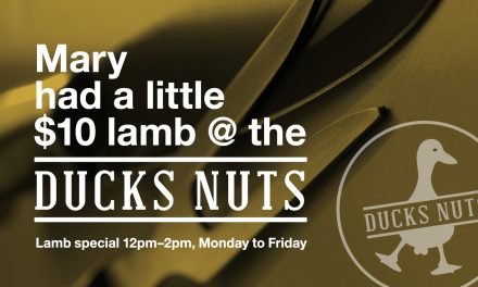 $10 lunch at Ducks Nuts