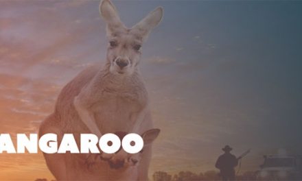 Kangaroo Screening and Q&A at Dendy Cinemas