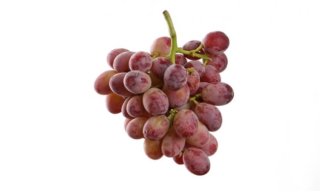 Guess the epic flavour of these grapes!