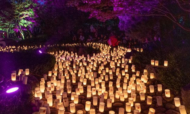 Nara Candle Fest: Now that’s mood lighting !