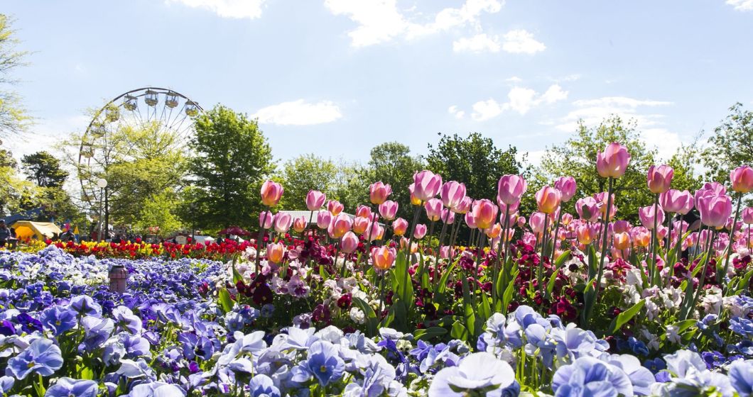 Floriade 2024: Highlights and what’s new