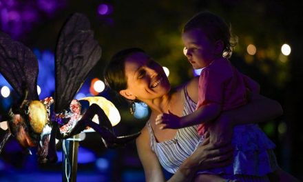 Glebe Park transforms into an enchanted woodland as part of Enlighten Beyond